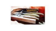 Coffret 6 couteaux de table laguiole G. David
