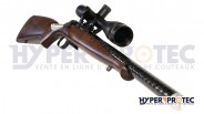 Carabine 22 LR Custom Silence Adamantium