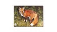 Cible Renard en papier poster renard 84x59 cm