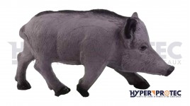 Sanglier Cible 3D