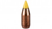 Munition 17 HMR CCI VNT