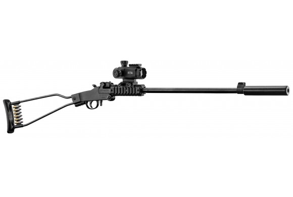 Pack Carabine 22LR Chiappa Little Badger