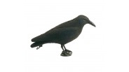 Cible de chasse 3D appelant corneille