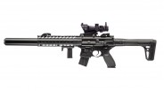 Pack Sig Sauer MCX ASP & ACOG