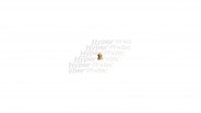 Plombs en or 4.5 mm anti-corrosion - GAMO Raptor