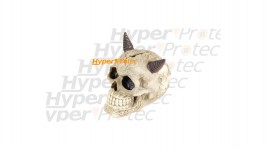 Tirelire tête de mort avec cornes - 10 cm