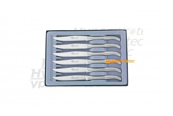 Coffret de couteaux de table Laguiole tout aluminium chromé