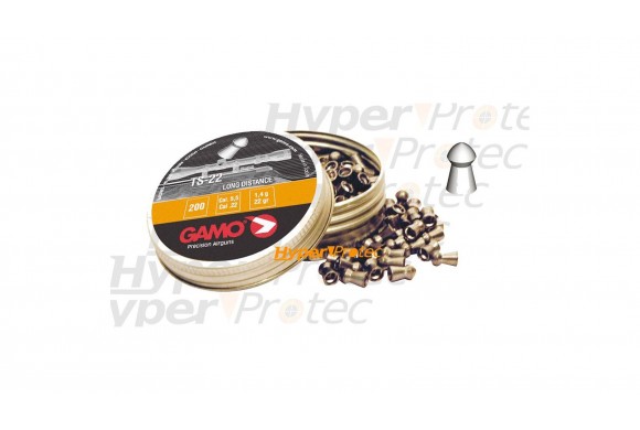 Munition plomb calibre 5,5 mm Gamo TS22 longue distance.