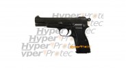 Browning HP35 Denix